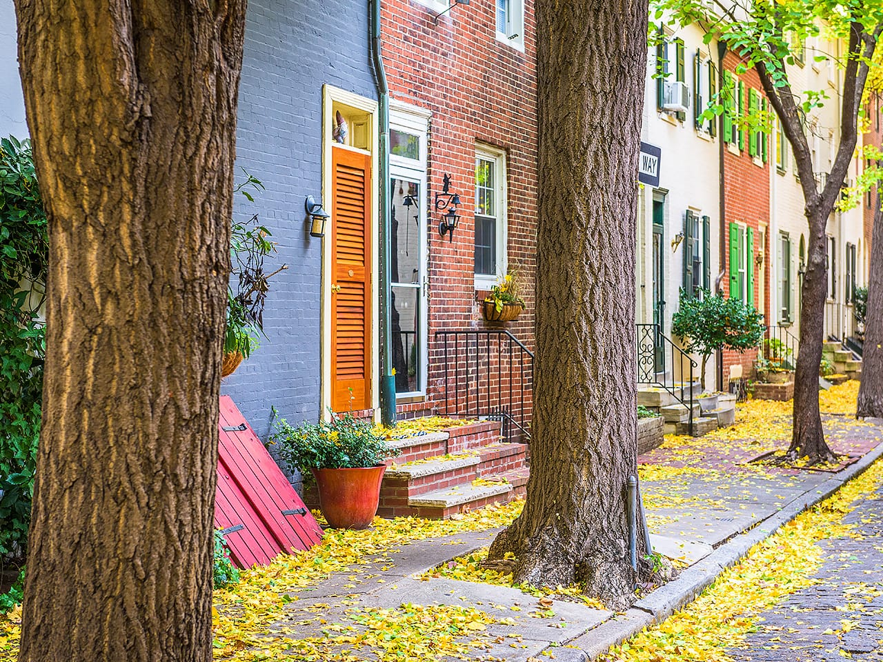 Philadelphia Neighborhood and sidewalk